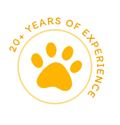 20+ years of experience